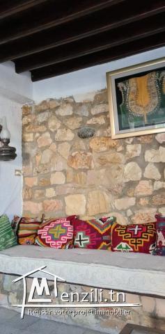 villa typique à vendre