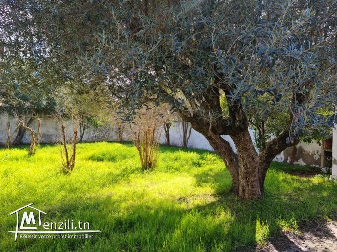 villa typique à vendre