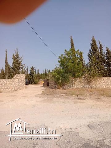 Terrain agricole est sur la route principale