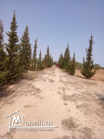 Terrain agricole est sur la route principale