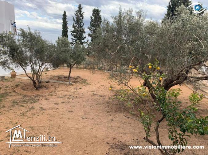 Vente Terrain Laurent