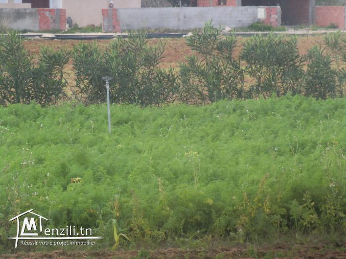 200m² a vendre ouverte  sur deux routes titre bleu vu de mer