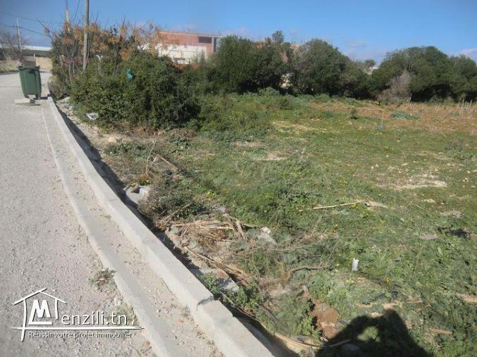 terrain  avendre sur la route goudronnée