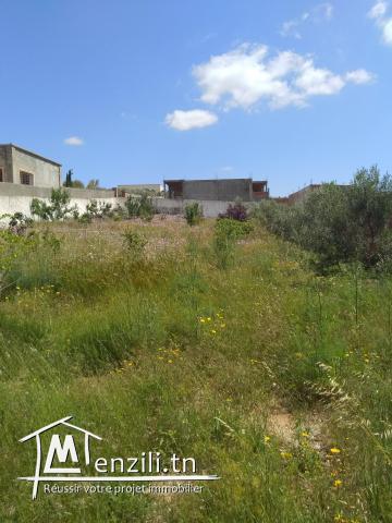 Terrain nu zone villa