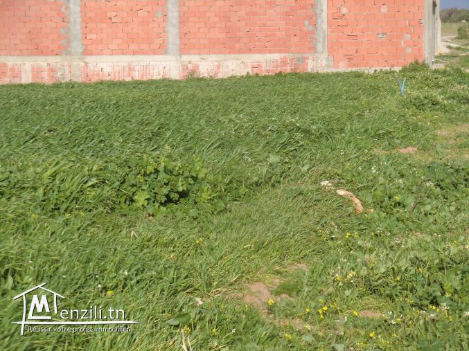 1000m² a vendre situé a dar allouch pres de la plage et prés du centre ville