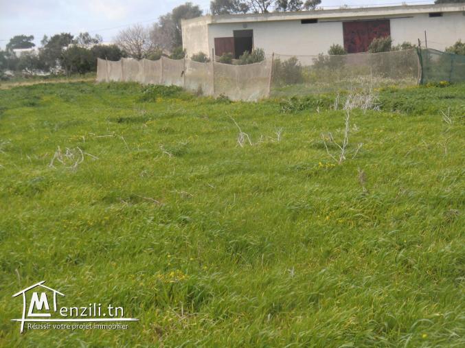 1000m² a vendre situé a dar allouch pres de la plage et prés du centre ville