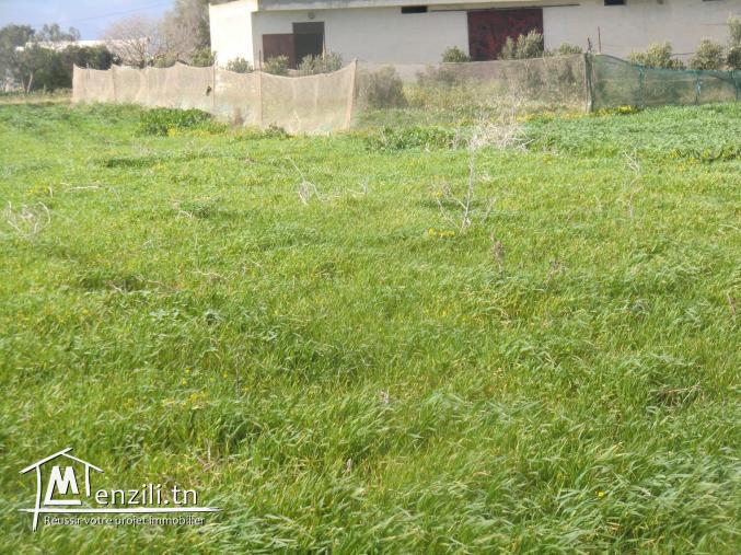 offre a ne pas 100dt le m² a vendre titre bleu