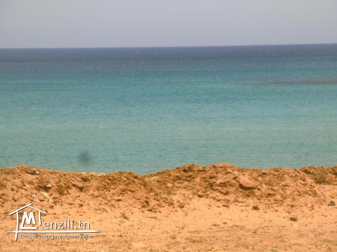 3000m²  a vendre situé a  el hawariya 1 ere position plage sableuse