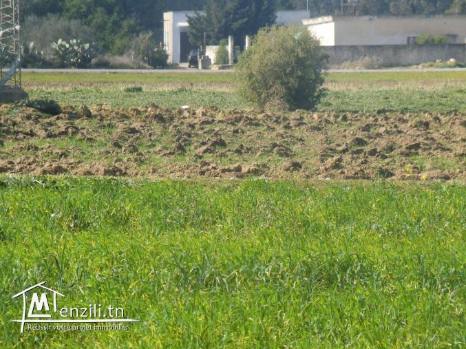 terraina vendre sur la route goudronné pour un ptojet commercial ou agricole
