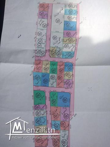 أرض للبيع سوسة الرياض