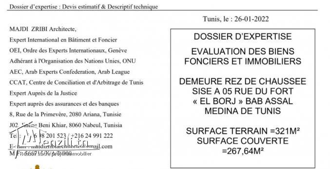 Maison traditionnelle au centre ville de Tunis 