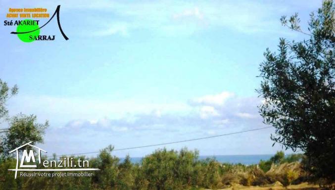 Ferme [#14661M²] #Vue De mer #Prés #Mall Of #Sousee