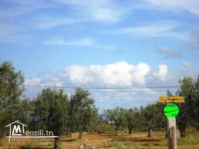 Ferme [#14661M²] #Vue De mer #Prés #Mall Of #Sousee