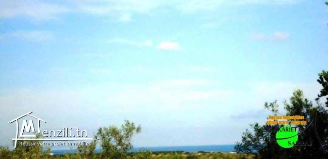 Ferme [#14661M²] #Vue De mer #Prés #Mall Of #Sousee