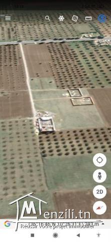 Maison à vendre sur terrain agricole sur la route de Bouficha