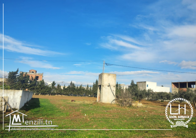 terrain constructible hammamet