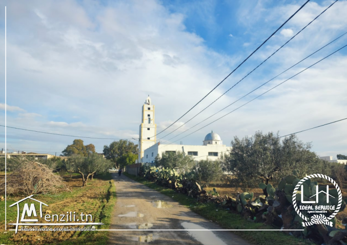 terrain constructible hammamet