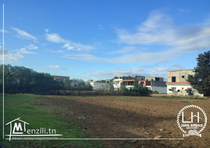 terrain constructible hammamet