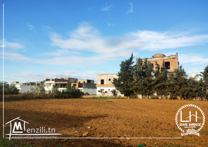terrain constructible hammamet