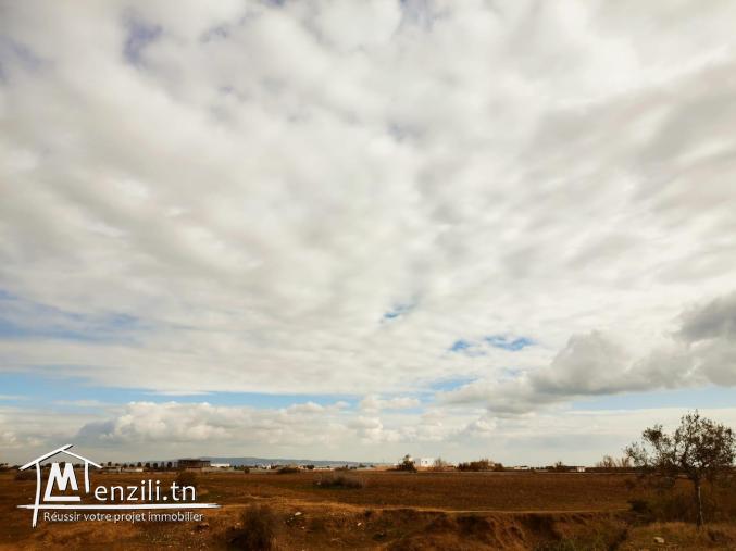 Terrain pour bâtir maison de rêve