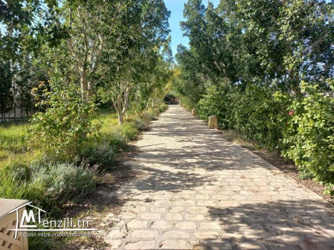 terrain idéale pour la construction à hammamet yasmine