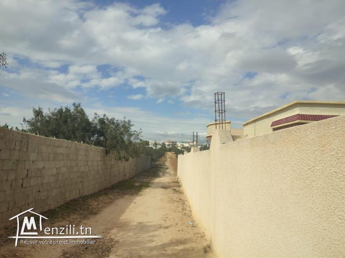 terrain bâtissable Hammamet Yasmine