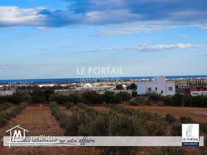 un lot de terrain à 4 km de jinen hammamet