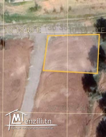 A vendre terrain à morneg