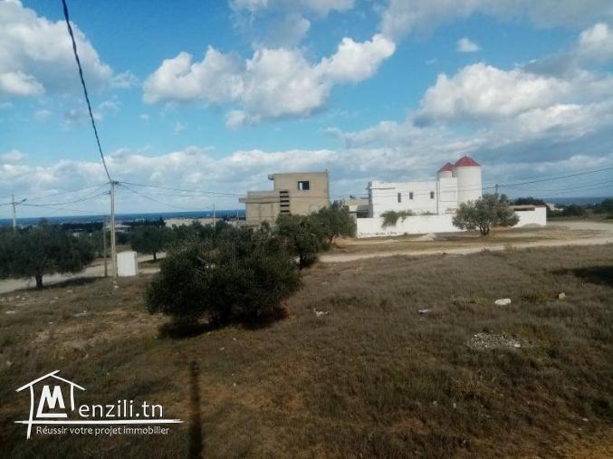 le plus joli lot de Kousour Gharnata Chott Mariem