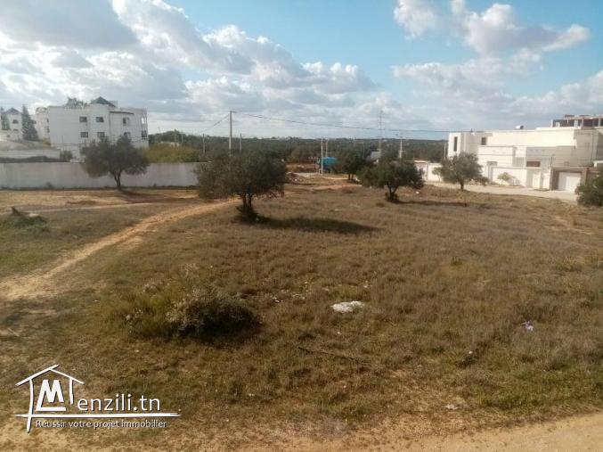 le plus joli lot de Kousour Gharnata Chott Mariem