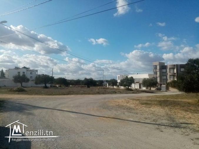 le plus joli lot de Kousour Gharnata Chott Mariem