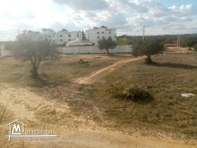 le plus joli lot de Kousour Gharnata Chott Mariem