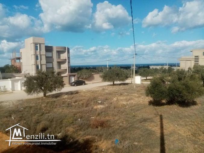 le plus joli lot de Kousour Gharnata Chott Mariem