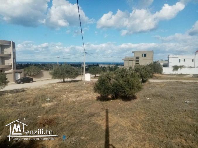 le plus joli lot de Kousour Gharnata Chott Mariem