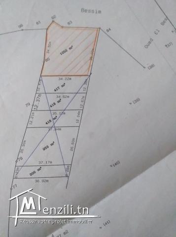 Vente terrain titré  à Béja jadida
