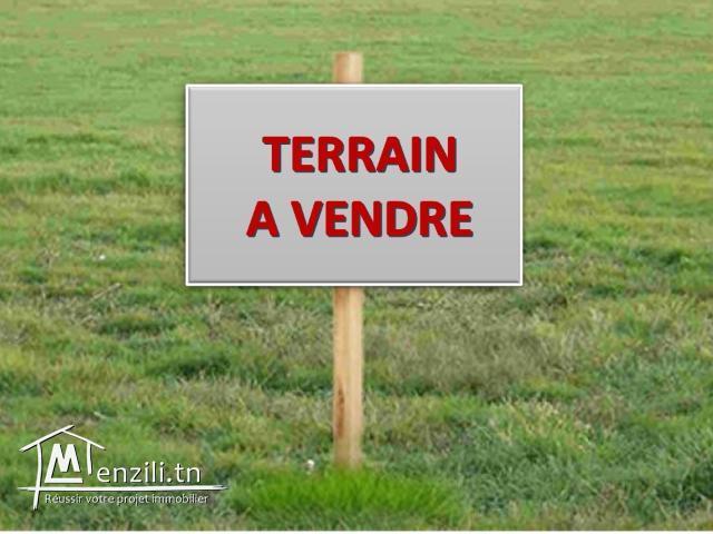 Terrain habitable 1 km de Barrket esehel ( hammamet)