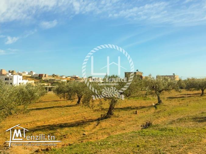 terrain a vendre de  hamammet yasmine