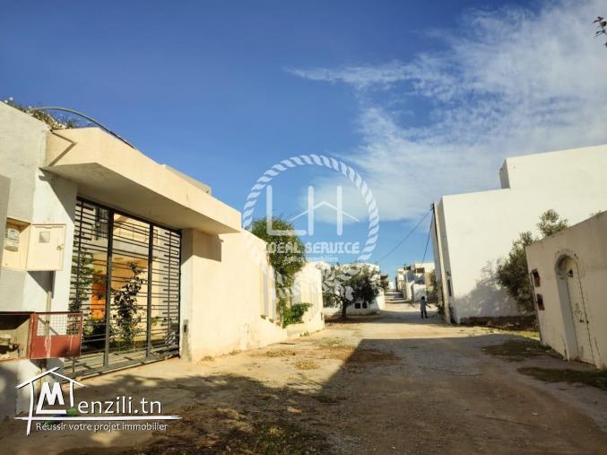 terrain a vendre de  hamammet yasmine