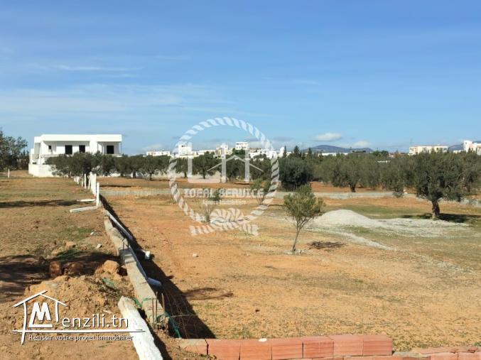 terrain a vendre de  hamammet yasmine