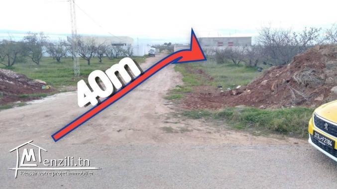 Terrain a vendre à El mghira enzel