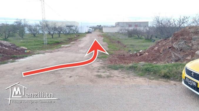 Terrain a vendre à El mghira enzel