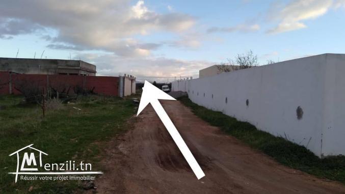 Terrain a vendre à El mghira enzel