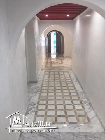 Grande villa à vendre