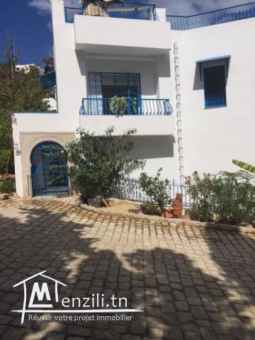 Grande villa à vendre