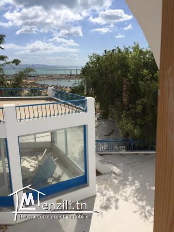 Grande villa à vendre