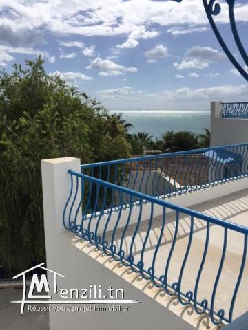 Grande villa à vendre