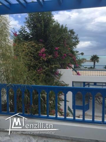 Grande villa à vendre