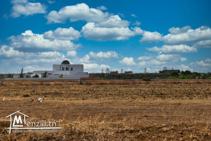 أفرح و فرح عايلتك