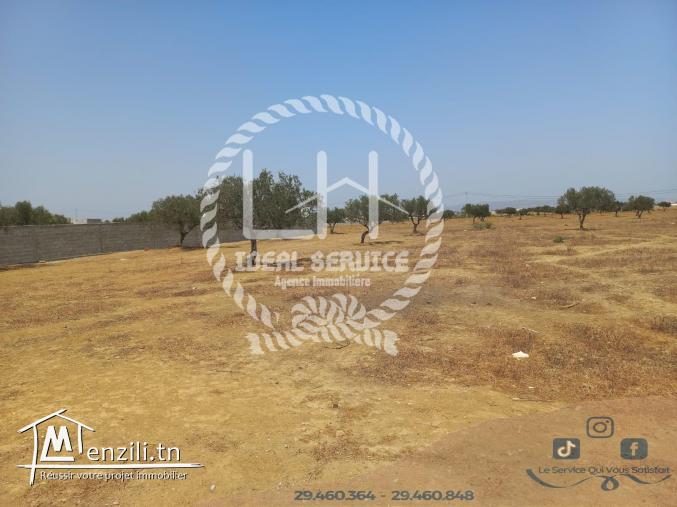terrain habitable à 1 km de la plage hammamet yasmine
