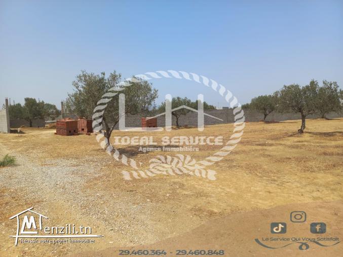 terrain habitable à 1 km de la plage hammamet yasmine